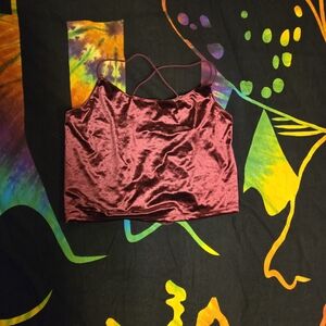 Garage Velvet Red Burgundy Crop Top